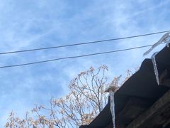 -颐和路民国时期公馆风貌区