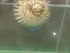 -南京金牛湖风景区