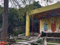 -北京凤凰岭