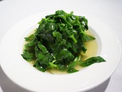 清炒穿心莲-峨嵋酒家总店(车公庄店)