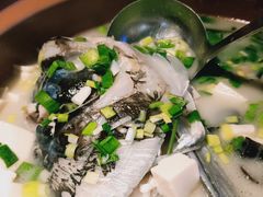 千岛湖招牌鱼头砂锅-姜君·千岛湖鱼头馆(浦东大道店)