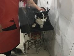 -酷狗靓猫宠物·洗护·美容·寄养(航北路店)