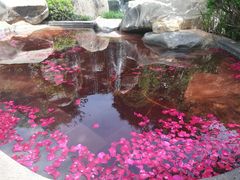 -七彩云南古滇温泉山庄
