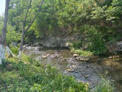 -羊山湖公园