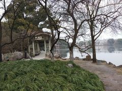 -西湖外事游船(花港观鱼码头)