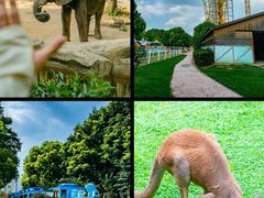 -常州淹城野生动物世界