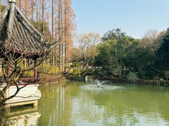 -上海醉白池公园