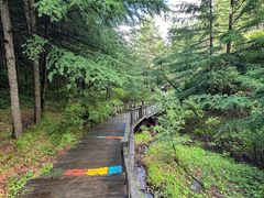 -苏木山森林公园