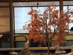 -三凤酒家·百年无锡菜(清扬茂业店)
