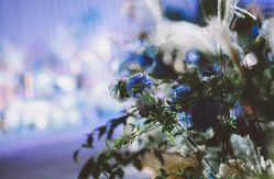 -艾米婚纱&婚礼策划