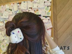 -MOCHA明星猫咖(田子坊店)
