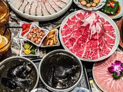 -禄婶鸡煲·打边炉