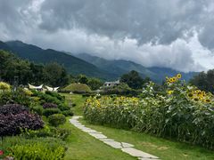 -云禾壹海景庄园餐厅