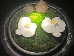 -炳胜私厨(万象前海店)