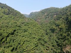 -川西竹海景区
