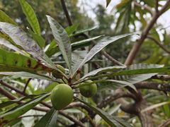 -中国移动南方基地