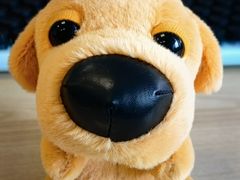 -麦当劳(世纪汇广场店)