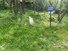 -云水涧亲子度假酒店