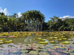 -中国科学院西双版纳热带植物园
