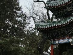 -东华门大街小区