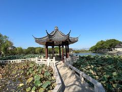 -江心屿景区