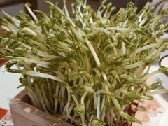 -大熊猫毛肚火锅(烟台万象汇店)