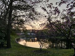 -上海共青森林公园