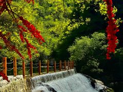 -少华山国家森林公园