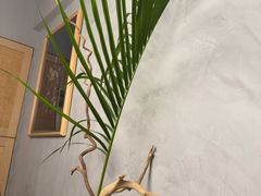 -本处·素食·融合料理(南油店)