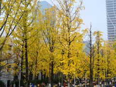 -百林公园-两江幸福广场