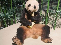 -深圳博物馆历史民俗馆