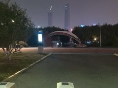 -武汉两江游览·夜游长江(汉口粤汉码头)