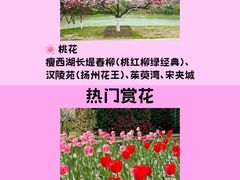 -陈记菜馆·非遗淮扬菜(东关街教场店)