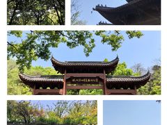 -杭州半山国家森林公园