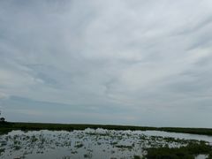 -北海金海湾红树林生态旅游区