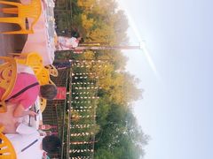 -崖口红树林海鲜餐厅