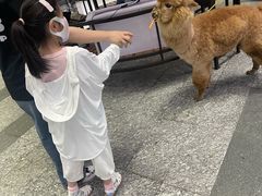 -1013 PET SHOP 宠物商店(近铁城市广场店)