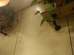 -焦记老潼关肉夹馍(东五路店)