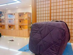 -猫十亿·布偶金渐层·曼基康矮脚猫舍(青年路店)
