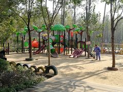 -合肥滨湖国家森林公园