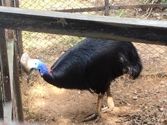 -昆明动物园
