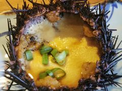 海胆黄蒸蛋-船歌·鱼水饺青岛菜(金狮广场店)