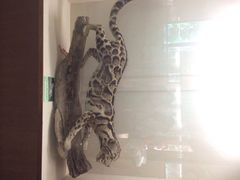 iphone_upload_pic-下渚湖国家湿地公园科普馆