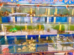 水产区-来之顺海鲜菜馆·青岛菜(栈桥店)