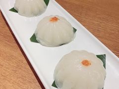 桂花拉糕-苏小柳手作点心(控江旭辉分院)