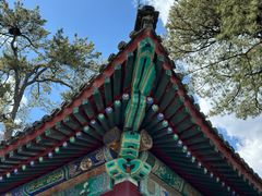 -承德避暑山庄景区