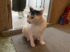 -CLUE演绎实景剧本杀(江南西店)
