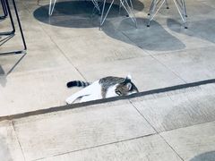 -UNI UNI(环亚凯瑟琳店)