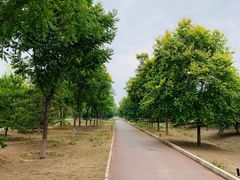 -永定河休闲森林公园