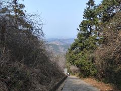 -冶父山国家森林公园